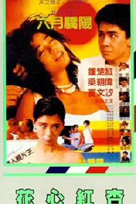国产91导航